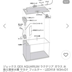 GEX水槽　ラクテリアの画像