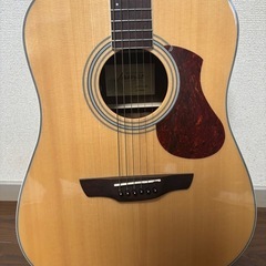 James　アコースティックギター  エレアコ 
J-450D Ova NATの画像
