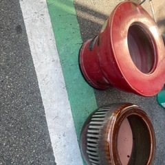 今日引き取り来られ人の画像
