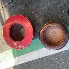今日引き取り来られ人の画像