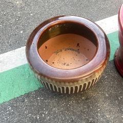 今日引き取り来られ人の画像