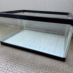 水槽の画像