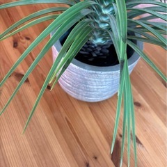 東谷 フェイクグリーン ミニパイナップル GRN-12 植木鉢つきの画像