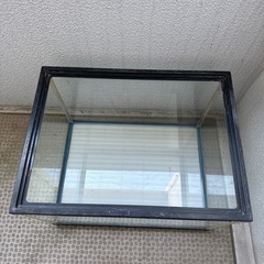 水槽②の画像