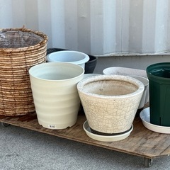 無料で！植木鉢全部まとめて◇陶器製1個◇プラスチック製7個◇木製1個◇差し上げます！の画像