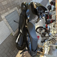 美品　低走行pcx 125 jk-05 2024年式の画像