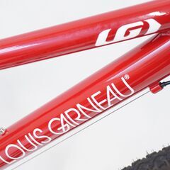LOUIS GARNEAU J24 2020年モデル マウンテンバイクの画像