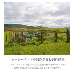 美品新品未使用品天然はちみつ3本の画像