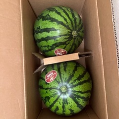 らいげんすいかの画像