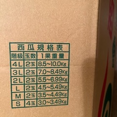 らいげんすいかの画像