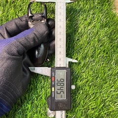 『black 629 NO.1』パラワン　オオヒラタ大型血統　♂98ミリ ♀3匹49㍉.48㍉.44㍉の出品ですの画像