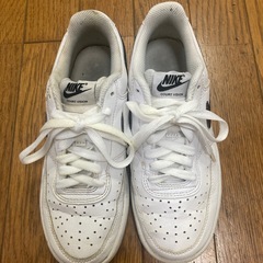 サンエー商品券付き⭐️ナイキコートビジョン LOW ネクスト ネイチャーの画像