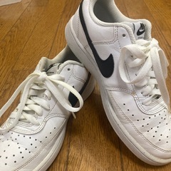サンエー商品券付き⭐️ナイキコートビジョン LOW ネクスト ネイチャーの画像