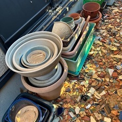 植木鉢・プランター・その他の画像