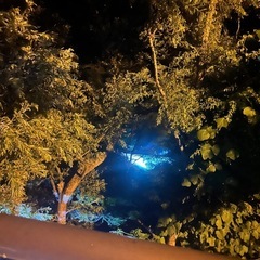 一緒に灯火採取、街灯採取してくれる方。の画像