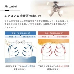 【シーリングファンライト】電球付き メタリックスタイリッシュの画像