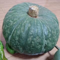 お野菜８点の画像