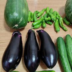 お野菜８点の画像