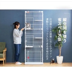 新品未使用 スリムキャットゲージの画像