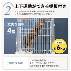 新品未使用 スリムキャットゲージの画像