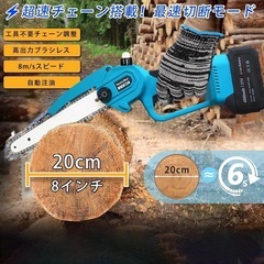 高枝 電動 チェーンソー⭐️最長3m 高枝切り 8インチ 軽量の画像