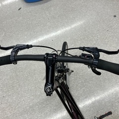 Tyrell 自転車　20インチの画像