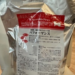 フェレットセレクション　　の画像