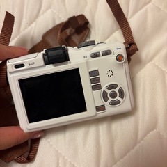 OLYMPUS（オリンパス） デジタル一眼 PEN Lite E-PL1S の画像