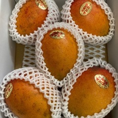【注文制】家庭用マンゴー　約2キロの画像