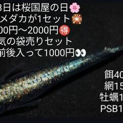 🌸はるいろめだか🌸極上メダカ🌸激安販売会🌸8月3日☀️🍉🌻🏊