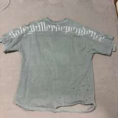 ガルフィー Tシャツの画像