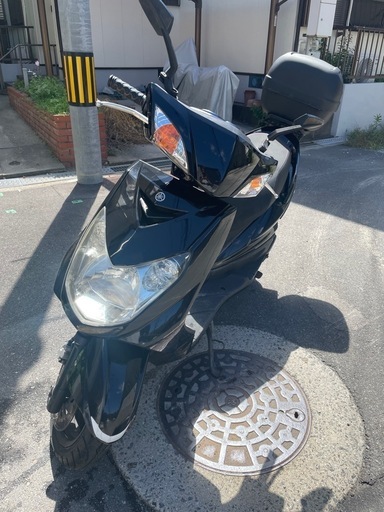 シグナス2型国内