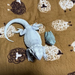 一番くじ　B賞。未開封です。の画像