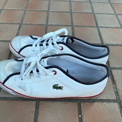 LACOSTEスニーカーの画像