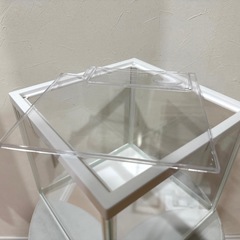 水槽の画像