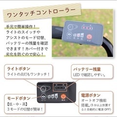 3輪　電動自転車の画像