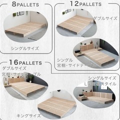 ダブルベット⚠️本日受付終了しますの画像