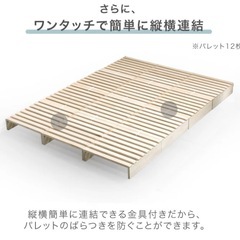 ダブルベット⚠️本日受付終了しますの画像