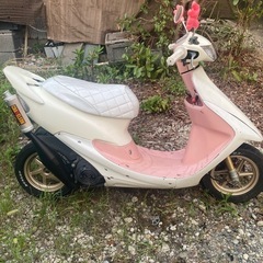 【ホンダ】ライブディオzx AF35 原付の画像