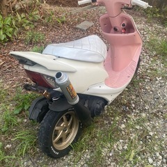 【ホンダ】ライブディオzx AF35 原付の画像