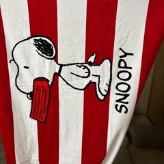 8/20まで！の画像