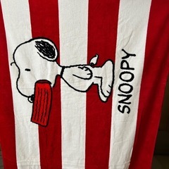 8/20まで！の画像