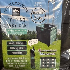 折りたたみキャリーカートの画像