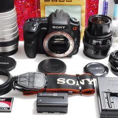 ★秋の風景を美しく撮影できるカメラ★SONY α 200 ダブルズームキット★の画像