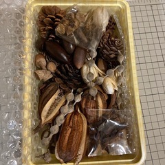 ［譲り先決定］木の実詰め合わせの画像