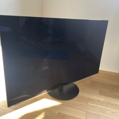21年制Panasonic VIERA55型有機ELの画像