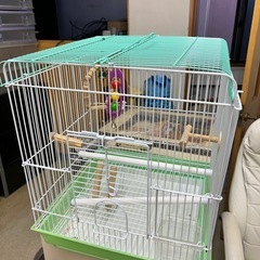 鳥籠の画像