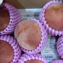 犬山しのおかの桃　なつっこ　10個入1箱(半箱)　税込1800円の画像