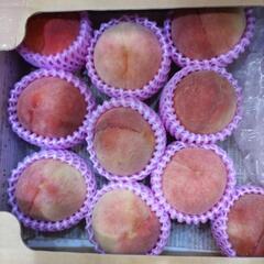 犬山しのおかの桃　なつっこ　10個入1箱(半箱)　税込1800円の画像