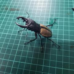 ①国産外国産クワガタカブトムシクジ500‼️の画像